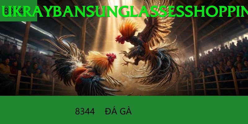 Đá Gà Trực Tiếp - Xin88